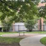 Walsh Park Pull Up Bars