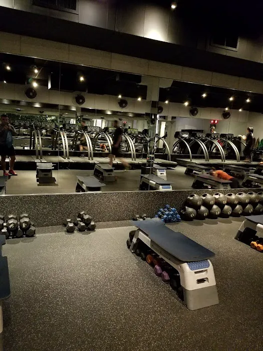 Shred415 Lincoln Park Picture 6