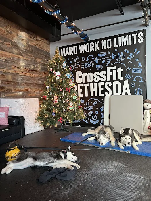 Crossfit Bethesda Picture 6