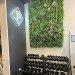 PHORM Fitness