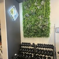 PHORM Fitness ico
