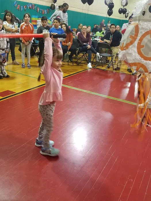 Horner Park Gymnasium Picture 3