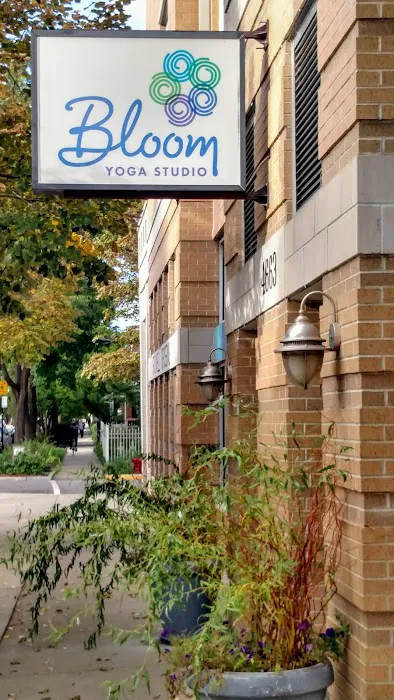 Bloom Yoga Studio Picture 5