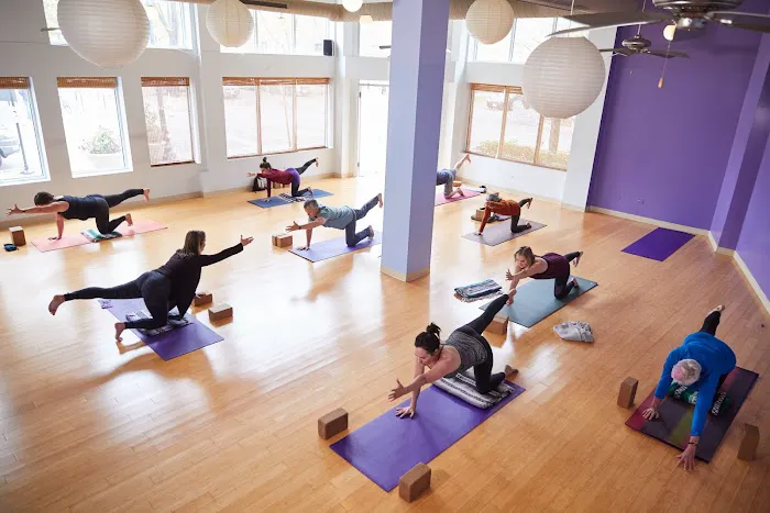 Bloom Yoga Studio Picture 6