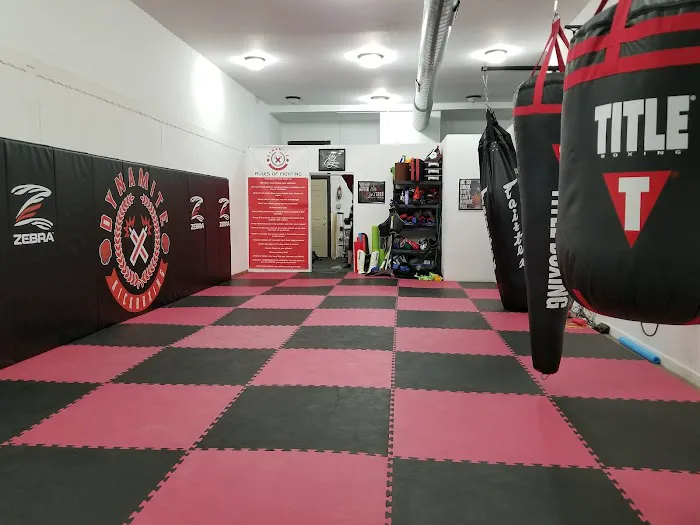 Dynamite Kickboxing & Brazilian Jiu Jitsu - Chicago Picture 3