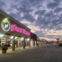 Planet Fitness ico