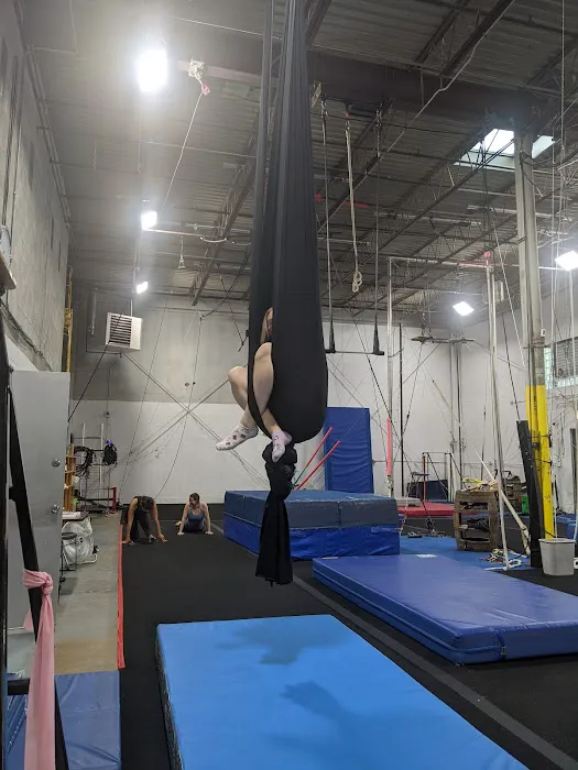 Chicago Center for Dynamic Circus (CCDC) Picture 1