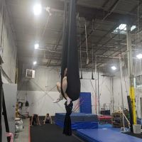 Chicago Center for Dynamic Circus (CCDC) ico