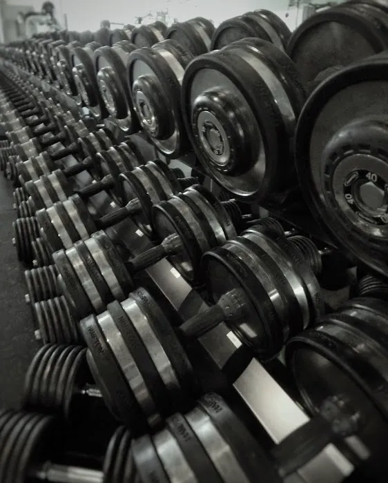 MBS 24-7 Fitness Picture 5