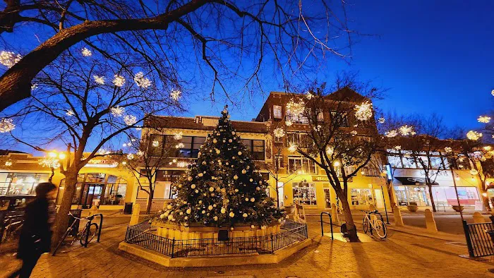 Orangetheory Fitness Picture 4