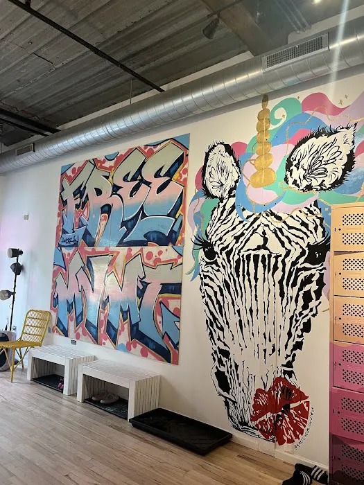 Free Mvmt Shop Picture 5