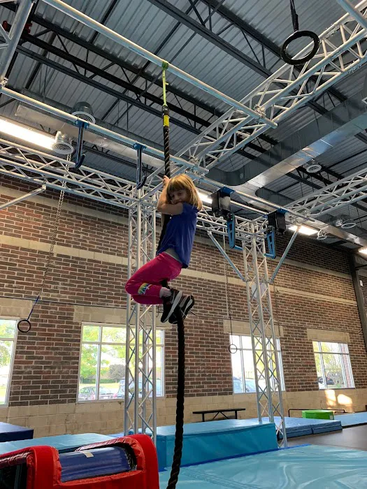 Ultimate Ninjas Elmhurst Picture 6