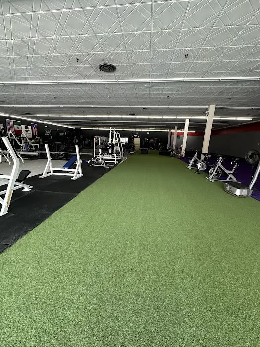 Barbell Fitness S&C Picture 4