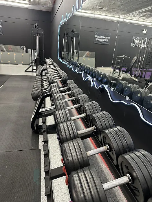 Barbell Fitness S&C Picture 7