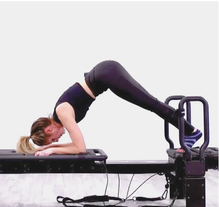 PIKE Lagree Picture 8