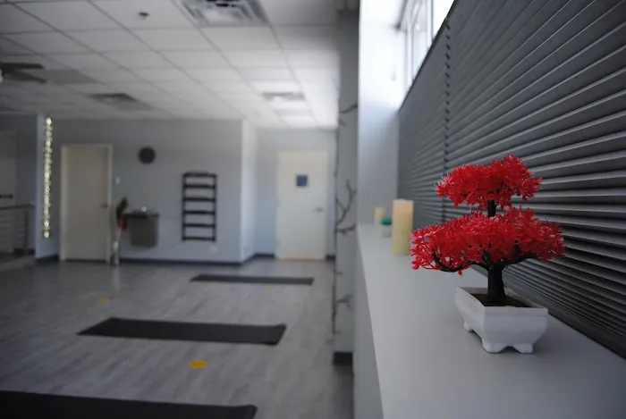 Rosemont Health & Fitness Picture 5