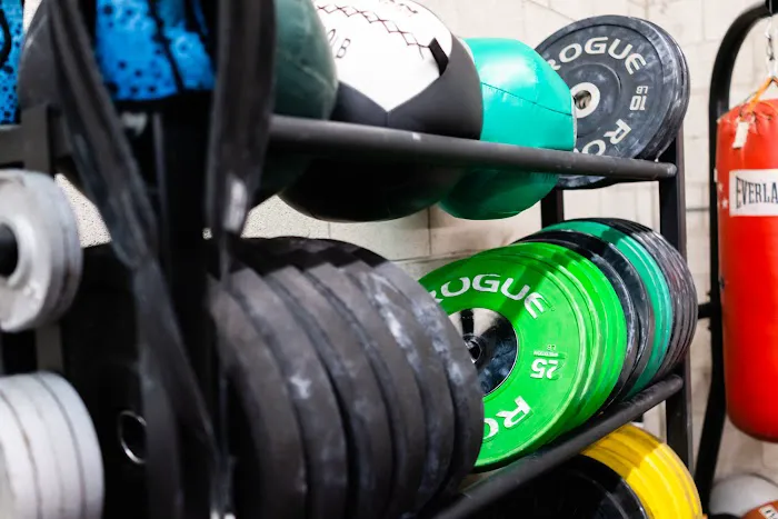 CrossFit Des Plaines Picture 2