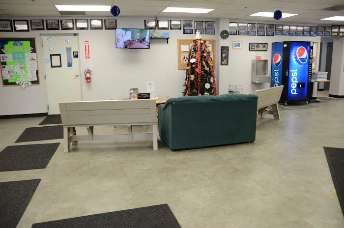 Naperville Gymnastics, Tumbling & Cheer Picture 2