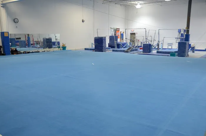 Naperville Gymnastics, Tumbling & Cheer Picture 1