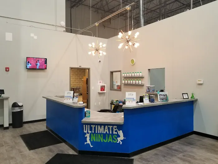 Ultimate Ninjas Naperville Picture 2