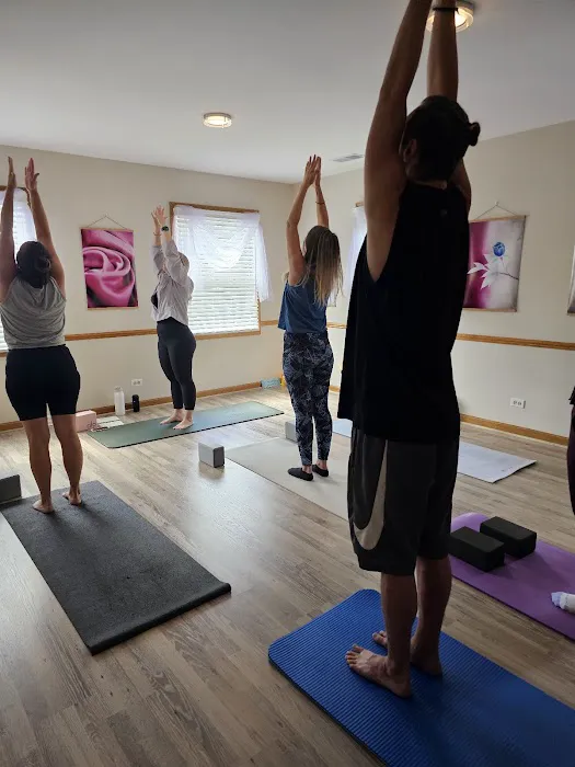 Yoga Factor Studio Picture 3