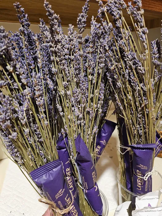 Yoga Factor Studio Picture 6