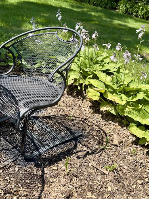 Edge Yoga School: Bliss Retreats Picture 9