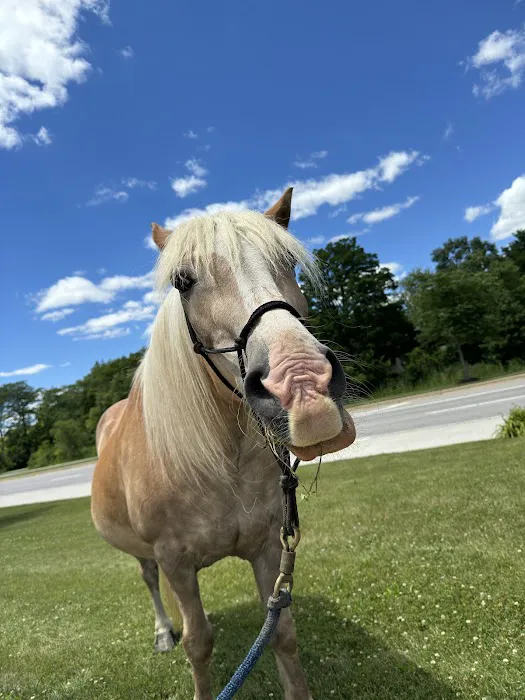 Edge Yoga School: Bliss Retreats Picture 3