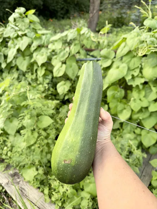 Edge Yoga School: Bliss Retreats Picture 4