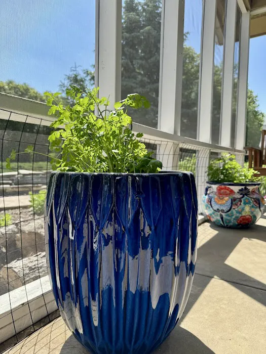 Edge Yoga School: Bliss Retreats Picture 10