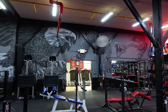 Jakked Gym Picture 6