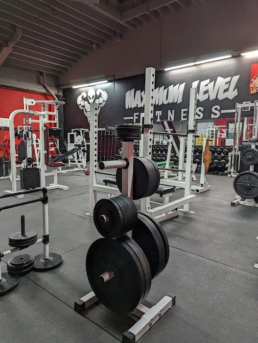 Maximum Level Fitness Picture 3