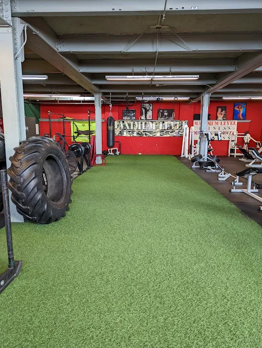 Maximum Level Fitness Picture 2