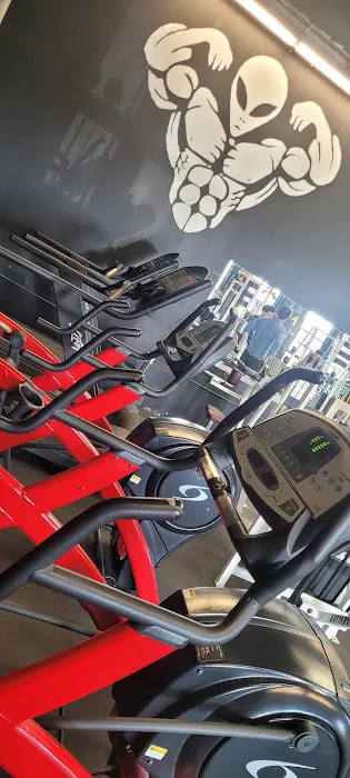 Maximum Level Fitness Picture 10