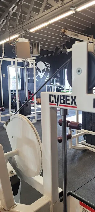 Maximum Level Fitness Picture 9