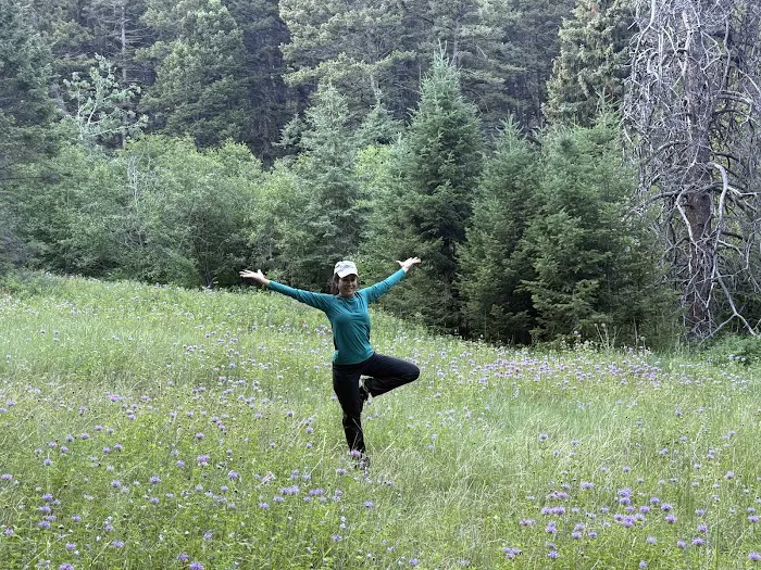 The Studio in Staunton Picture 9