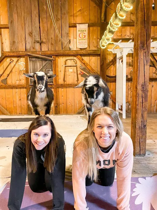 Goat Yoga of Southern IL Picture 8
