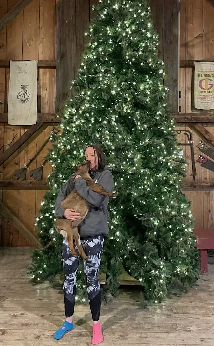 Goat Yoga of Southern IL Picture 5
