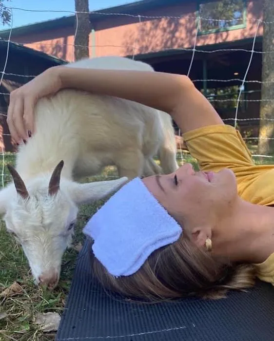 Goat Yoga of Southern IL Picture 4