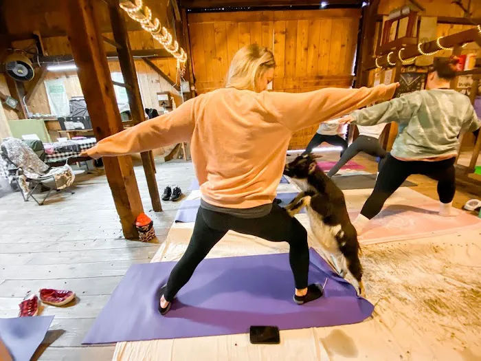 Goat Yoga of Southern IL Picture 10