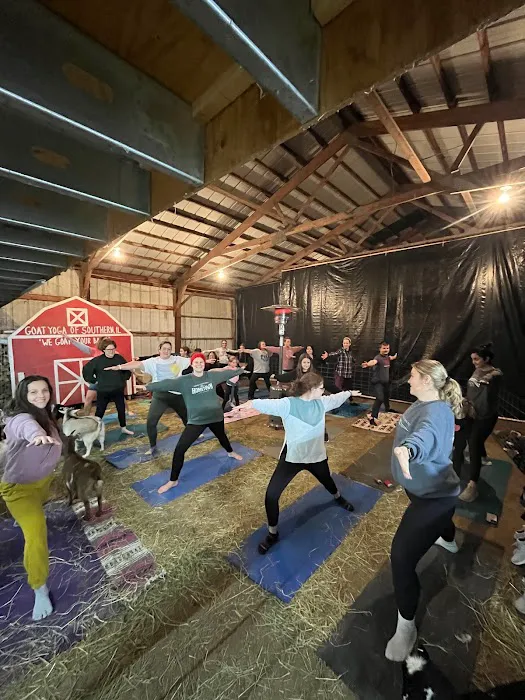 Goat Yoga of Southern IL Picture 7