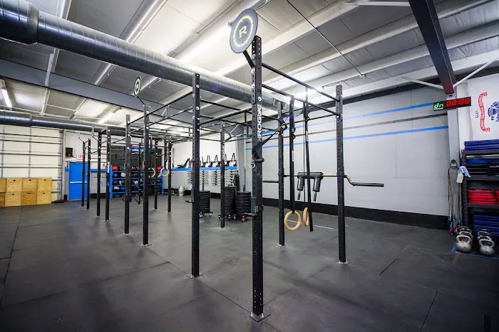 Profectus Performance Picture 2