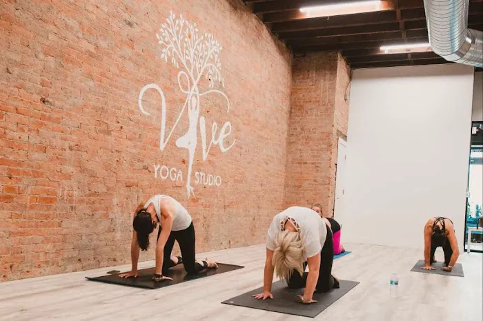 Vive Yoga Studio Picture 4
