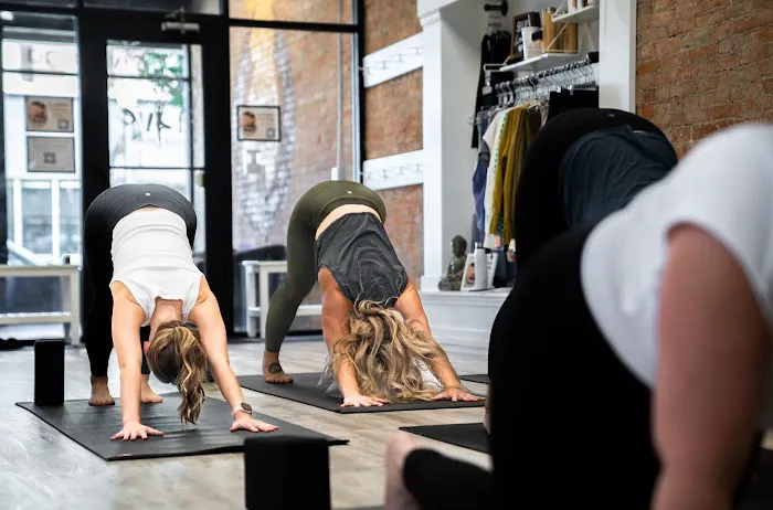 Vive Yoga Studio Picture 7