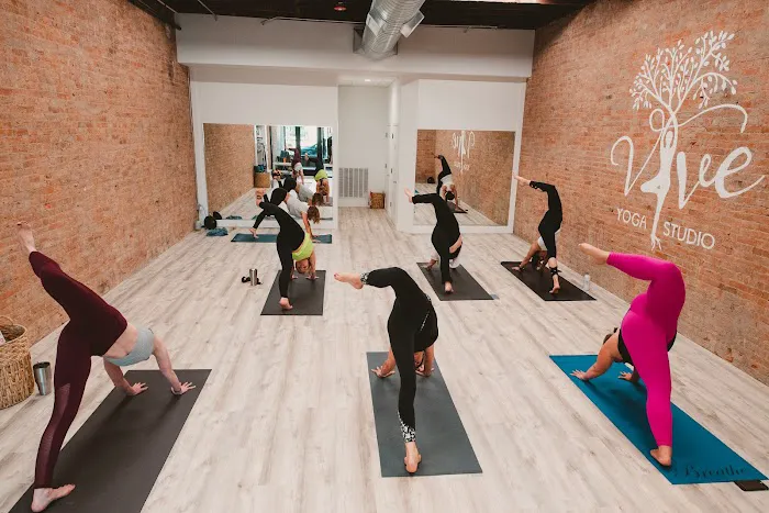 Vive Yoga Studio Picture 10