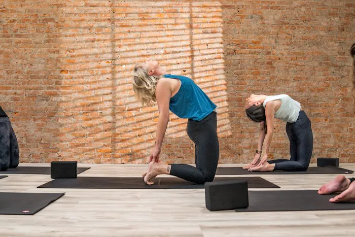 Vive Yoga Studio Picture 5