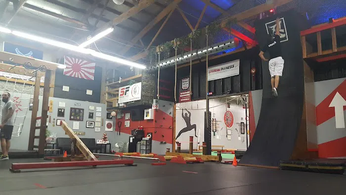 Shinobi Fitness - Bujinkan Budo Taijutsu Martial Arts Picture 6