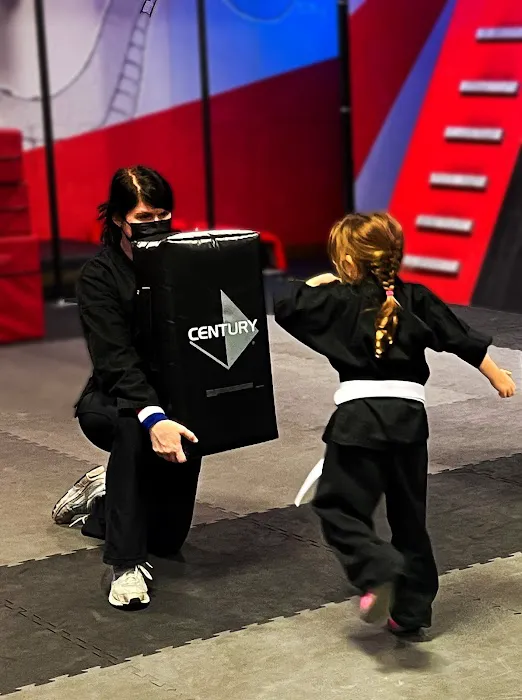 Shinobi Fitness - Bujinkan Budo Taijutsu Martial Arts Picture 1