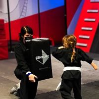 Shinobi Fitness - Bujinkan Budo Taijutsu Martial Arts ico