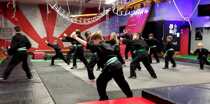 Shinobi Fitness - Bujinkan Budo Taijutsu Martial Arts Picture 3